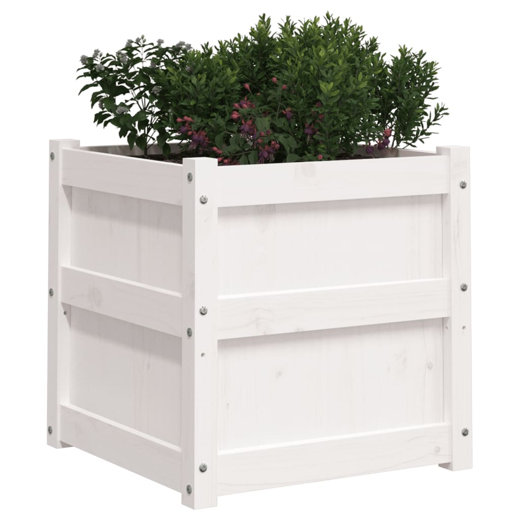 Garden Planter White 50x50x50 cm Solid Wood Pine