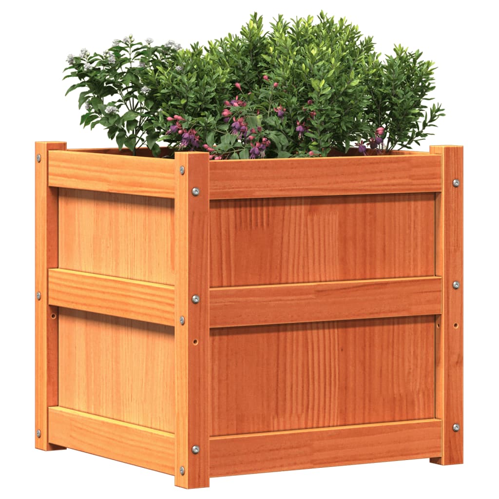 Garden Planter Wax Brown 50x50x50 cm Solid Wood Pine