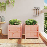 Garden Planters 2 pcs Solid Wood Douglas