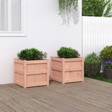 Garden Planters 2 pcs Solid Wood Douglas