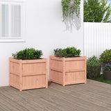 Garden Planters 2 pcs Solid Wood Douglas