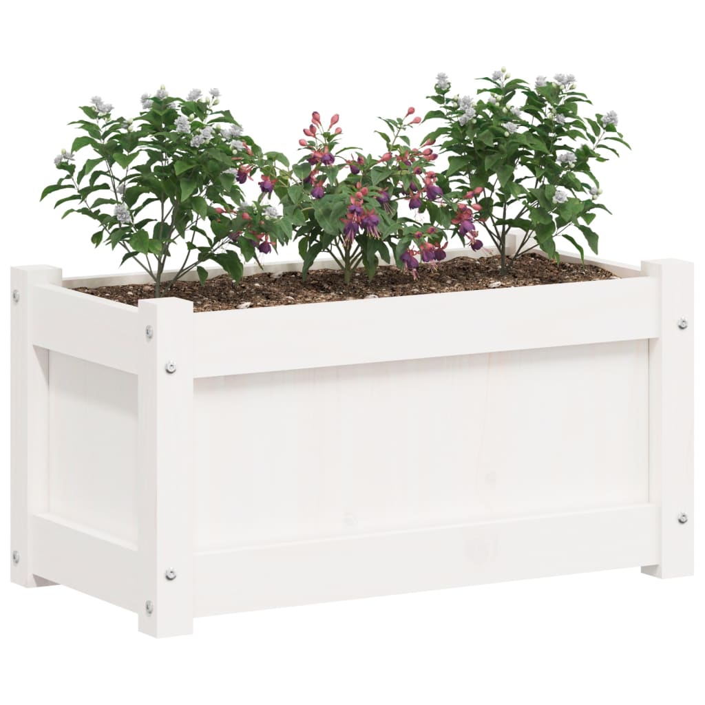Garden Planters 2 pcs White Solid Wood Pine