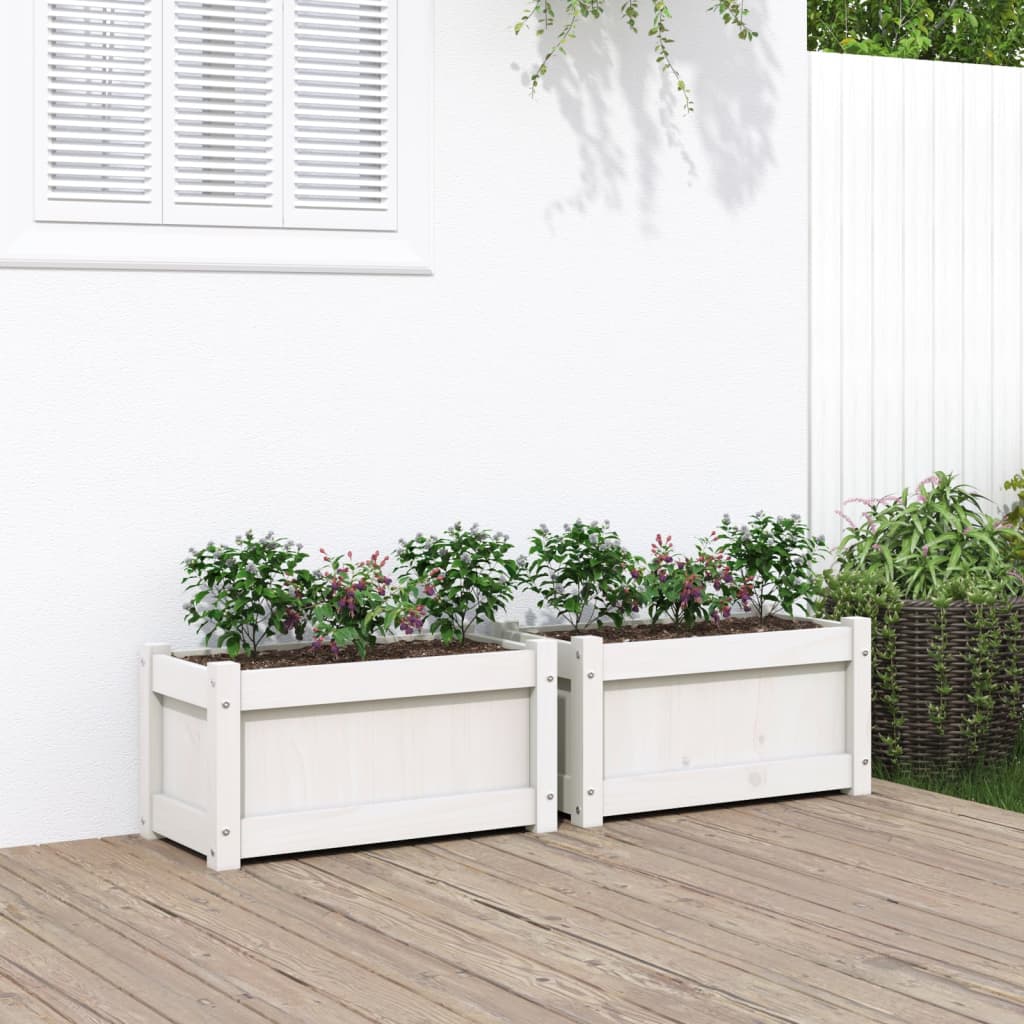 Garden Planters 2 pcs White Solid Wood Pine