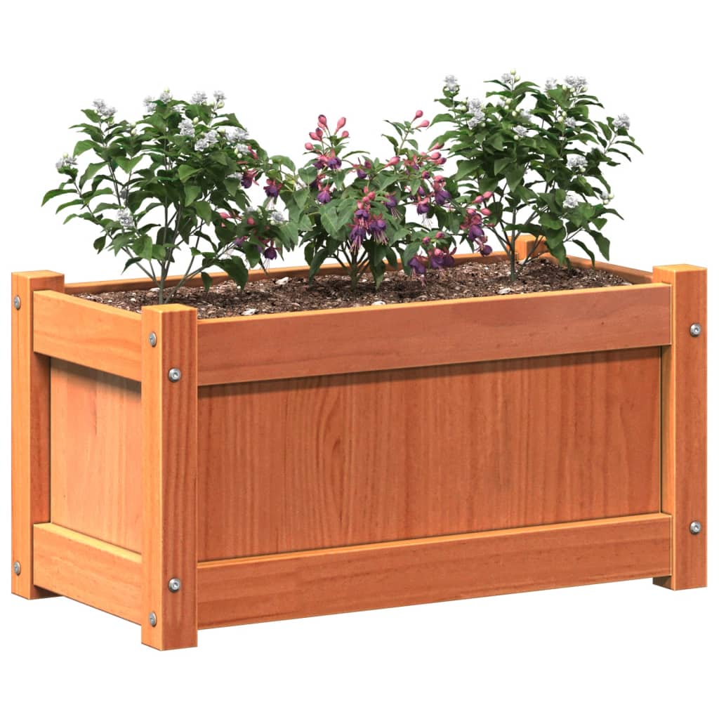 Garden Planter Wax Brown 60x31x31 cm Solid Wood Pine