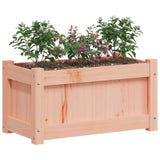 Garden Planter 60x31x31 cm Solid Wood Douglas