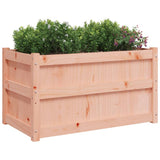 Garden Planters 2 pcs Solid Wood Douglas