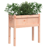 Garden Planters 2 pcs with Legs Solid Wood Douglas