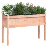 Garden Planters 2 pcs with Legs Solid Wood Douglas