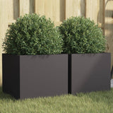 Planters 2 pcs Black 32x30x29 cm Steel