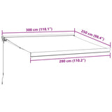 Manual Retractable Awning Burgundy 300x250 cm