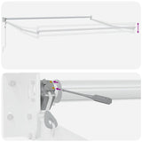 Automatic Retractable Awning Brown 300x250 cm