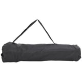 Camping Chairs with Pocket Foldable 2 pcs Leave Print