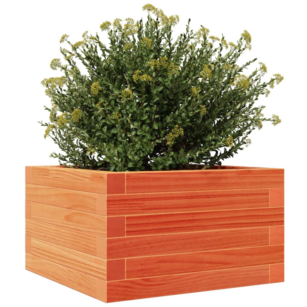 Garden Planter Wax Brown 40x40x23 cm Solid Wood Pine