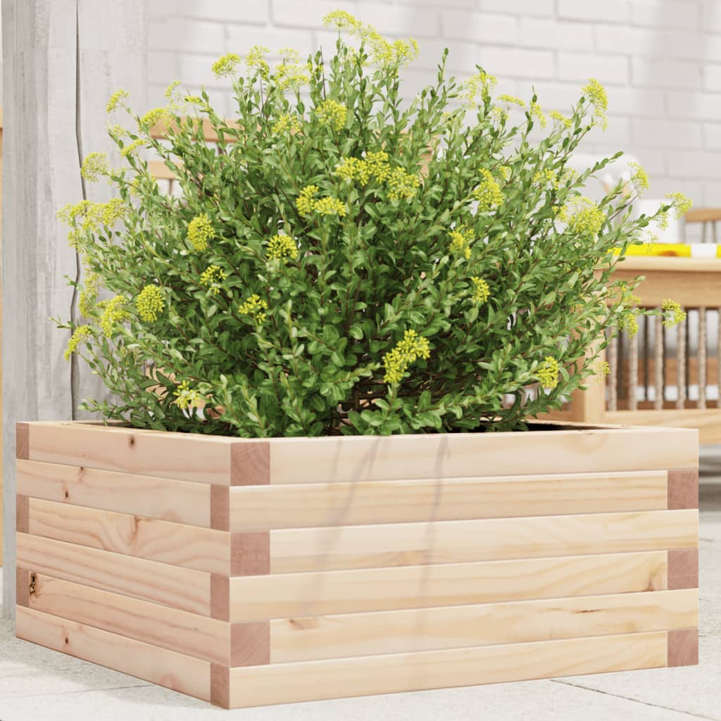 Garden Planter 50x50x23 cm Solid Wood Pine