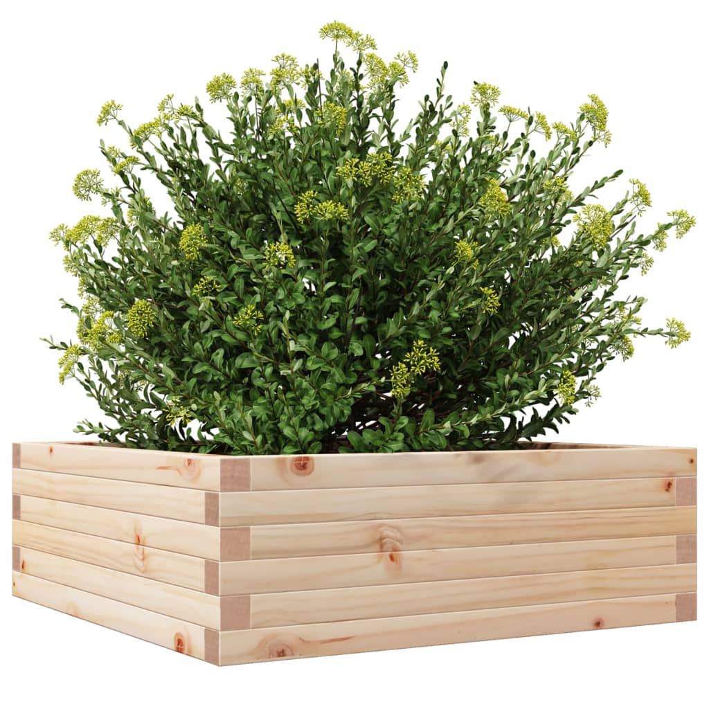 Garden Planter 70x70x23 cm Solid Wood Pine