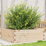 Garden Planter 70x70x23 cm Solid Wood Pine