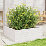 Garden Planter White 70x70x23 cm Solid Wood Pine