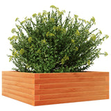 Garden Planter Wax Brown 70x70x23 cm Solid Wood Pine