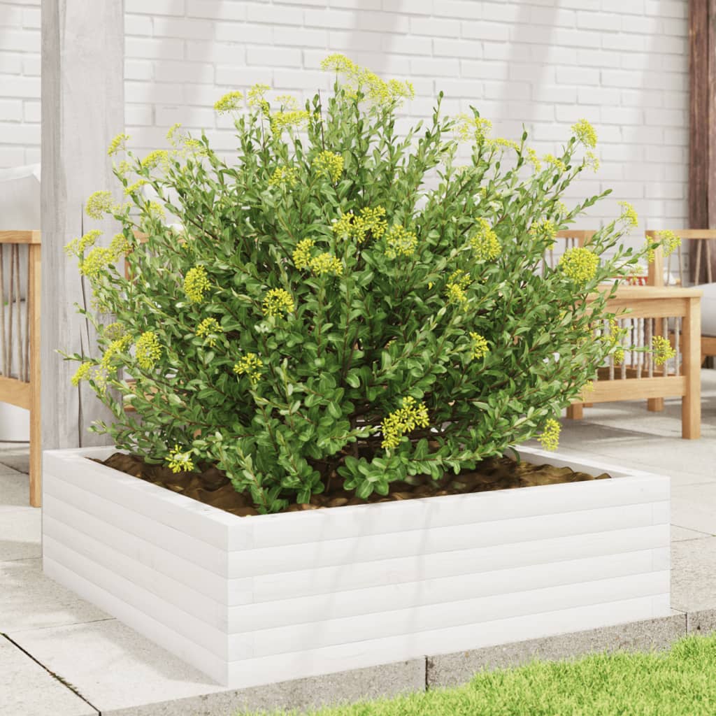 Garden Planter White 80x80x23 cm Solid Wood Pine