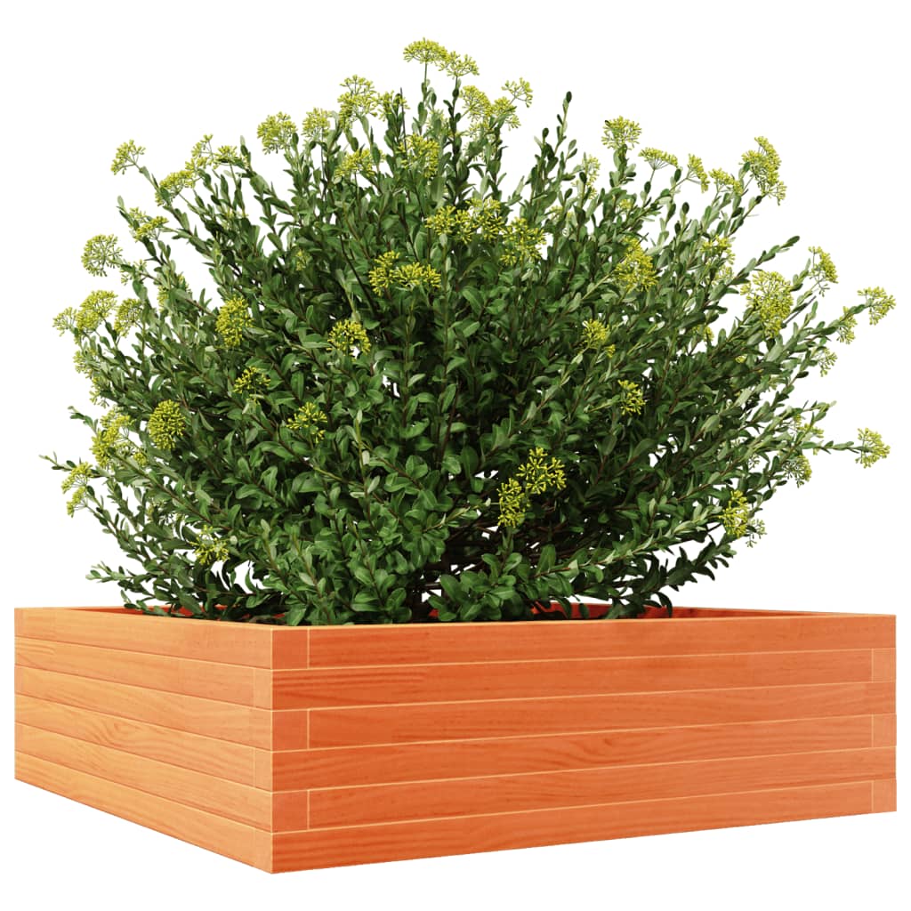 Garden Planter Wax Brown 80x80x23 cm Solid Wood Pine