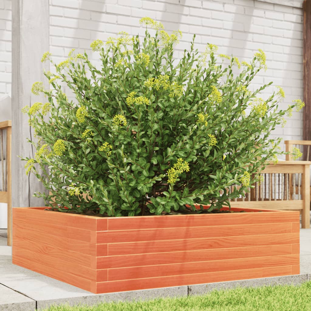 Garden Planter Wax Brown 80x80x23 cm Solid Wood Pine