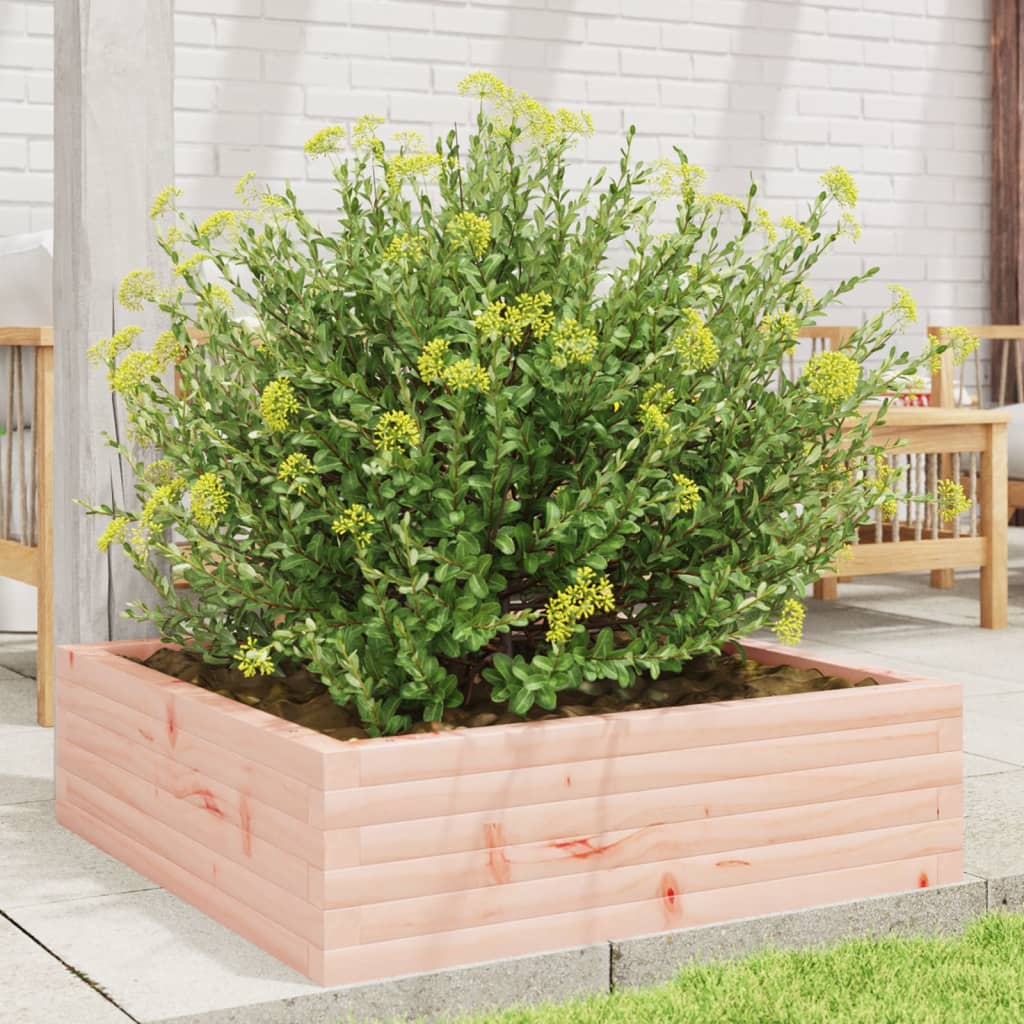 Garden Planter 80x80x23 cm Solid Wood Douglas