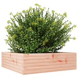 Garden Planter 80x80x23 cm Solid Wood Douglas