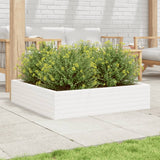 Garden Planter White 100x100x23 cm Solid Wood Pine