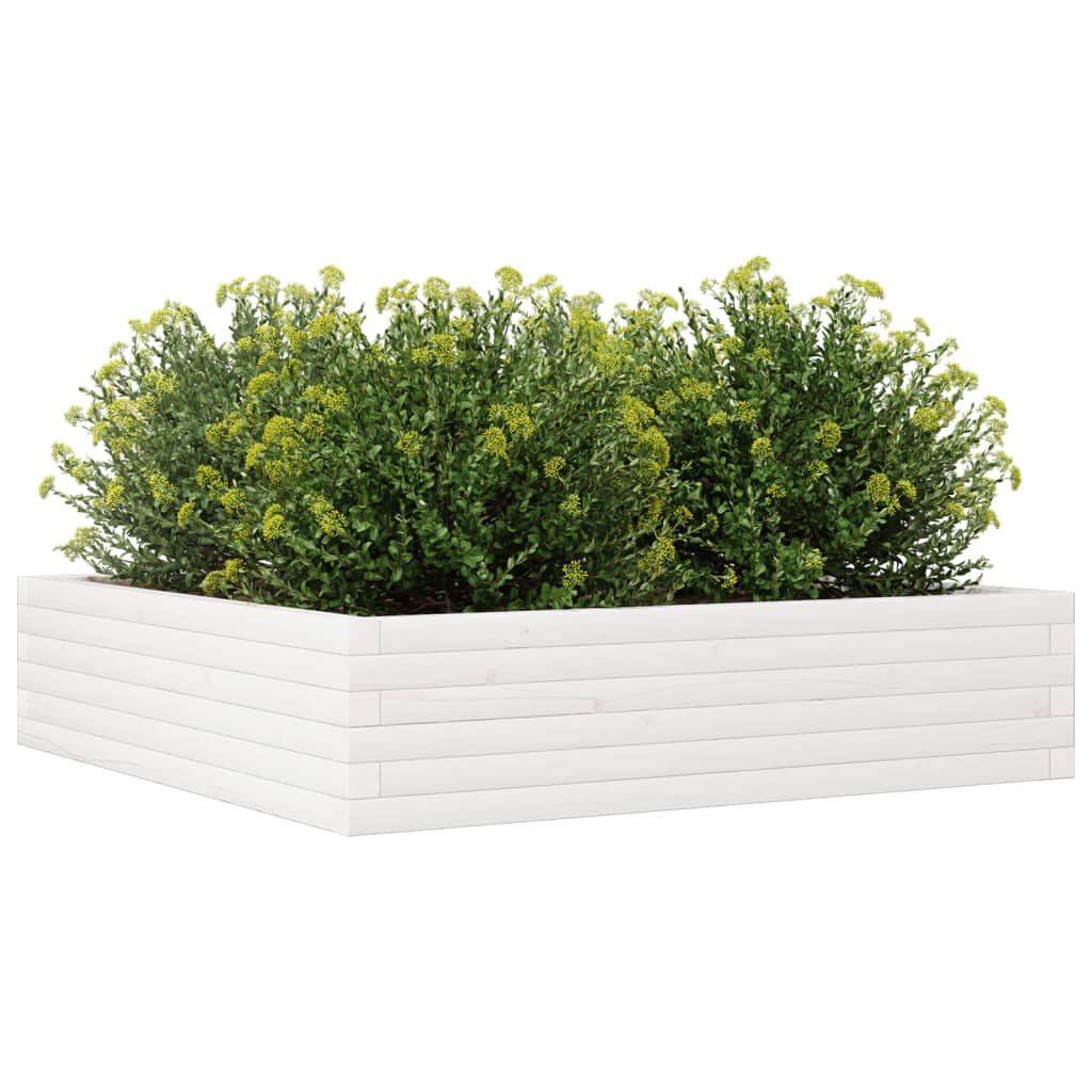 Garden Planter White 100x100x23 cm Solid Wood Pine