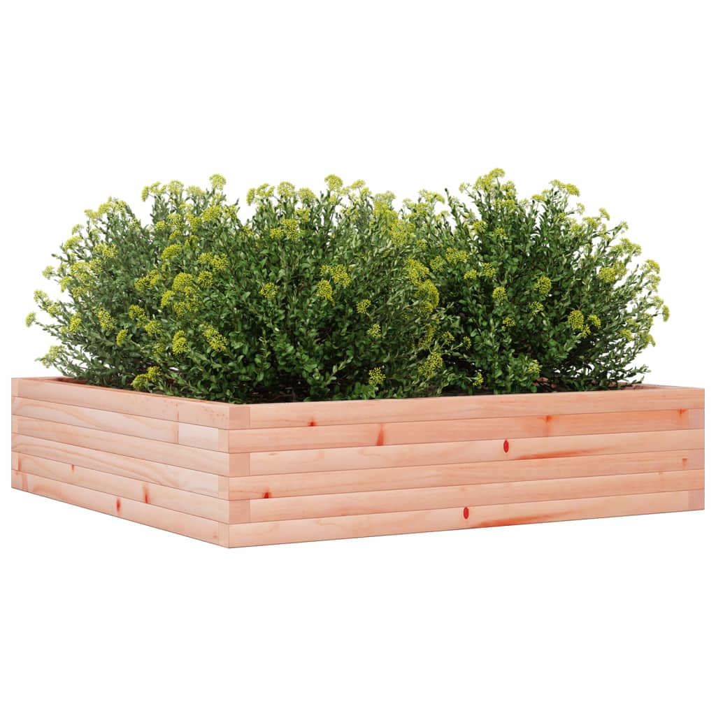 Garden Planter 100x100x23 cm Solid Wood Douglas