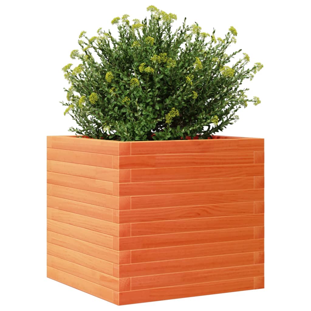 Garden Planter Wax Brown 50x50x45.5 cm Solid Wood Pine