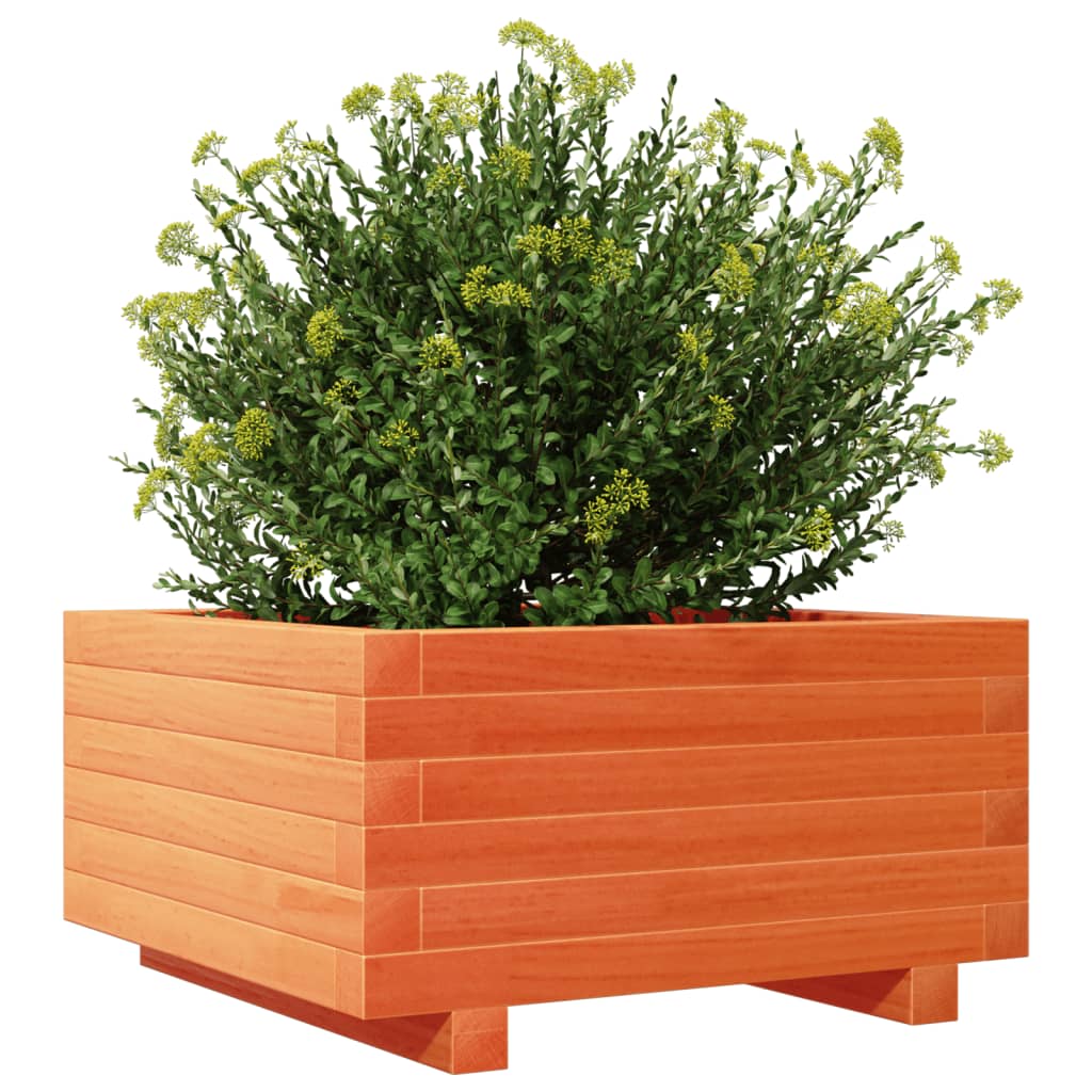 Garden Planter Wax Brown 50x50x26.5 cm Solid Wood Pine