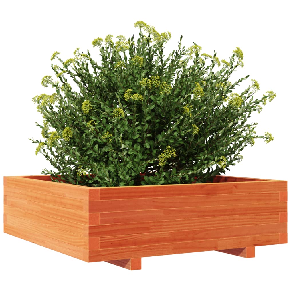 Garden Planter Wax Brown 80x80x26.5 cm Solid Wood Pine