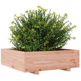 Garden Planter 80x80x26.5 cm Solid Wood Douglas