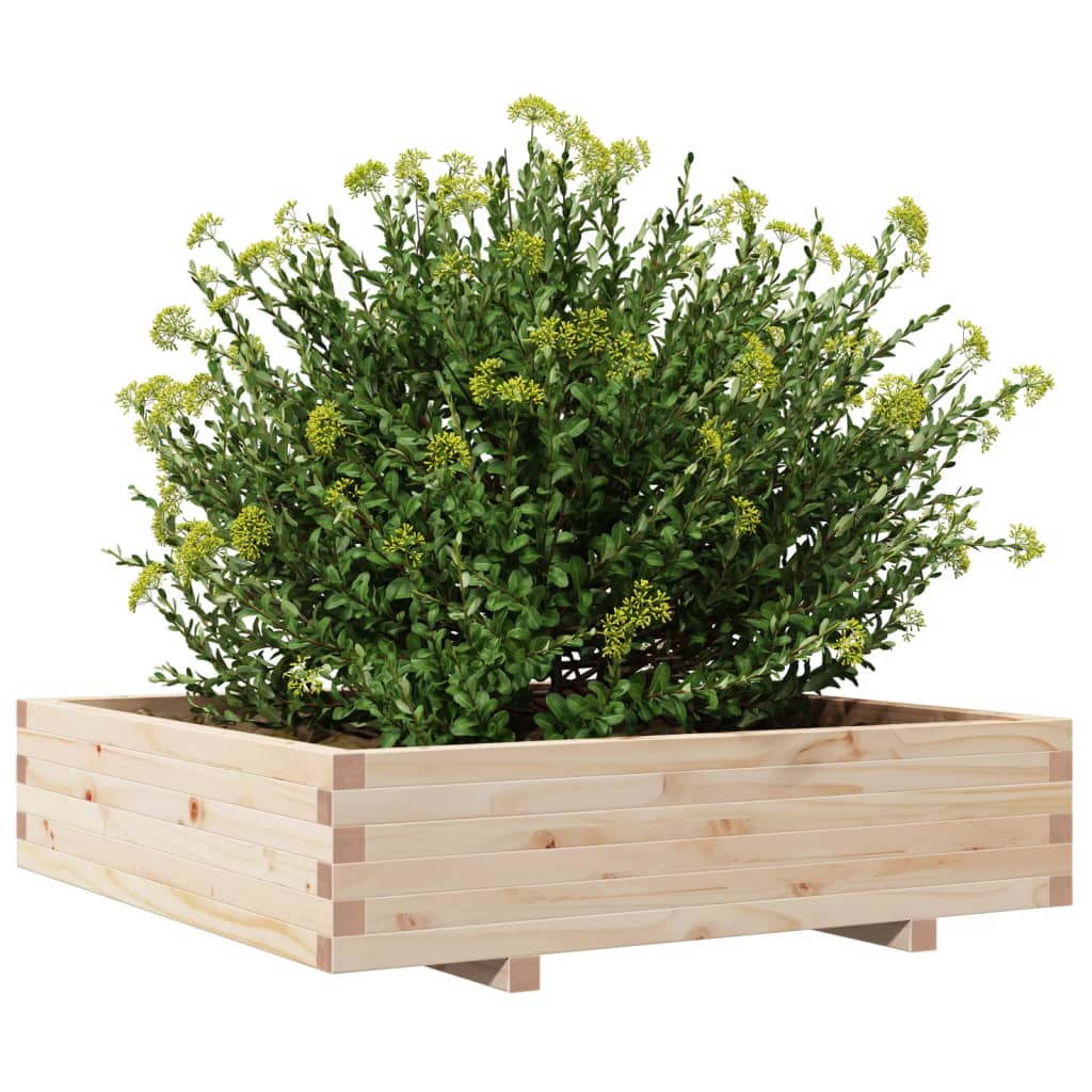 Garden Planter 100x100x26.5 cm Solid Wood Pine