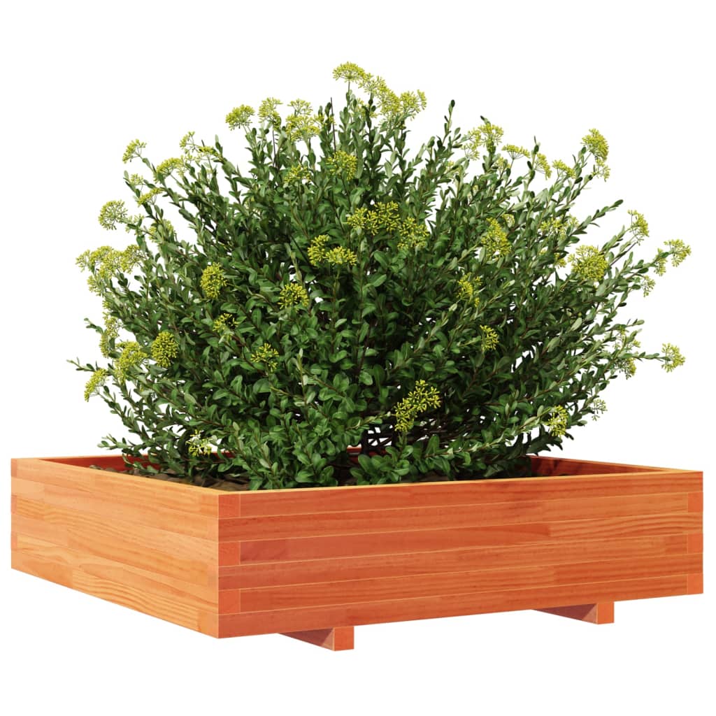 Garden Planter Wax Brown 100x100x26.5 cm Solid Wood Pine