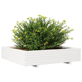 Garden Planter White 110x110x26.5 cm Solid Wood Pine