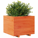 Garden Planter Wax Brown 60x60x49.5 cm Solid Wood Pine