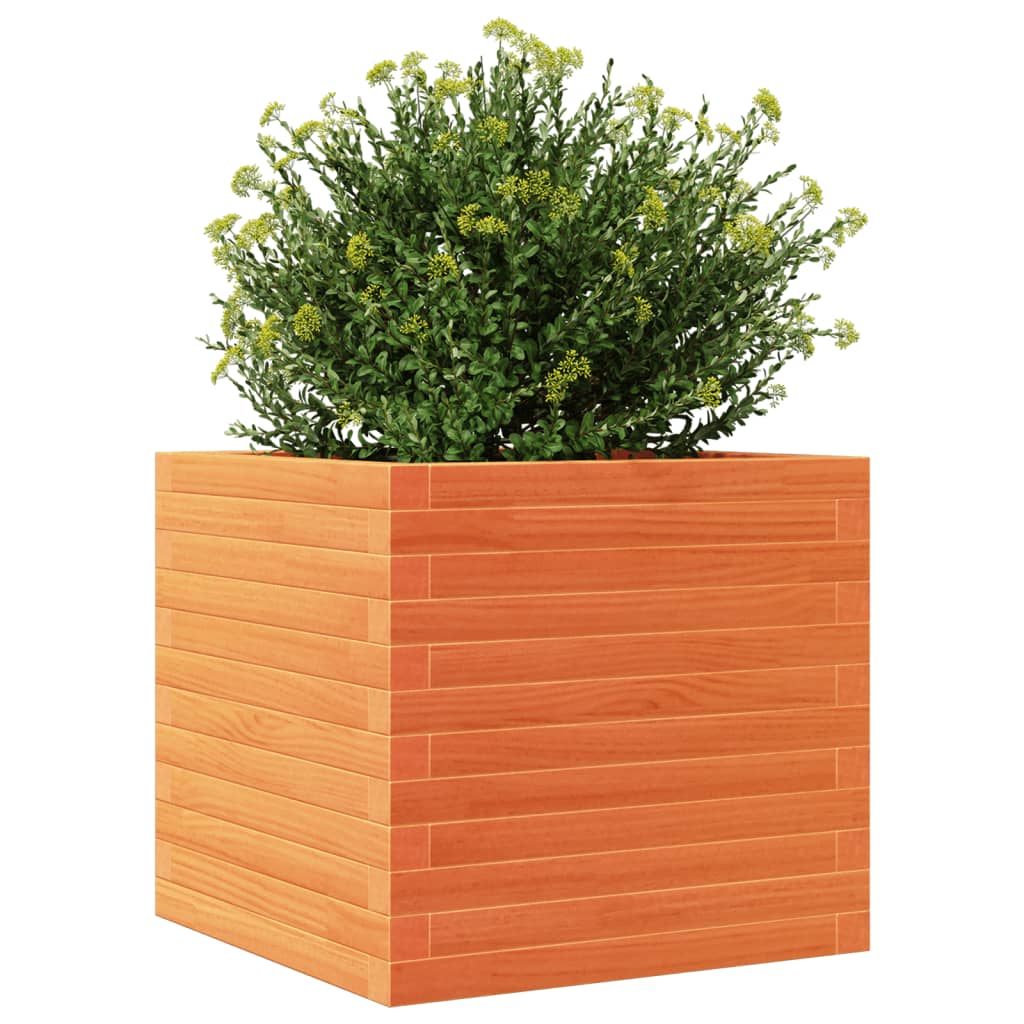 Garden Planter Wax Brown 50x50x46 cm Solid Wood Pine