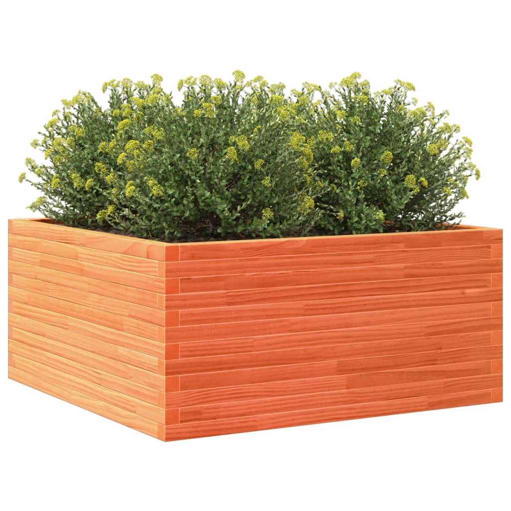 Garden Planter Wax Brown 100x100x46 cm Solid Wood Pine
