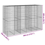 Gabion Basket with Cover 300x100x200 cm Galvanised Iron