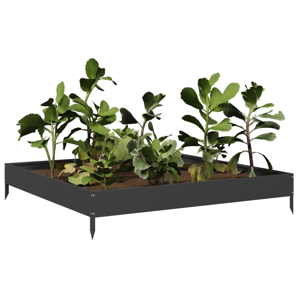 Garden Raised Bed Black 100x100x18.5 cm Steel