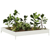 Garden Raised Bed White 100x100x18.5 cm Steel