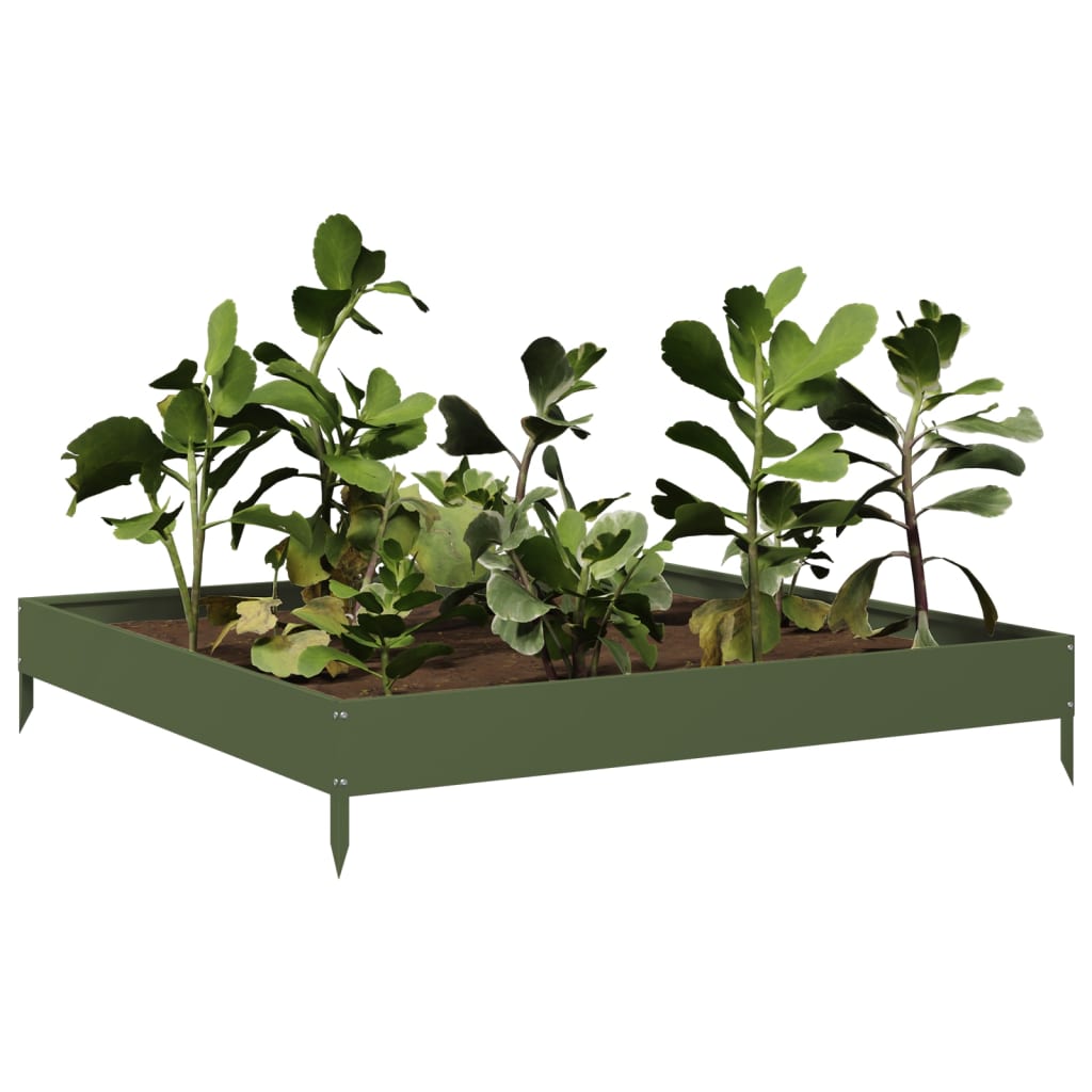 Garden Raised Bed Olive green 100x100x18.5 cm Steel