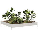 Garden Raised Bed 100x100x18.5 cm Stainless Steel