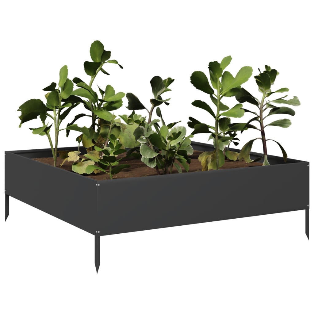 Garden Raised Bed Black 100x100x33.5 cm Steel