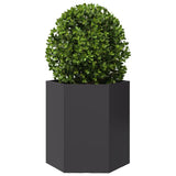 Garden Planter Black Hexagon 46x40x45 cm Steel