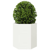 Garden Planter White Hexagon 46x40x45 cm Steel