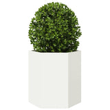 Garden Planter 2 pcs White Hexagon 46x40x45 cm Steel