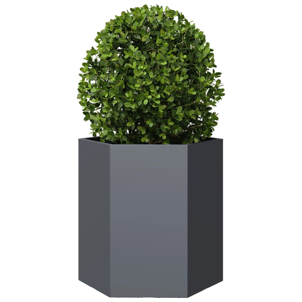 Garden Planter Anthracite Hexagon 46x40x45 cm Steel